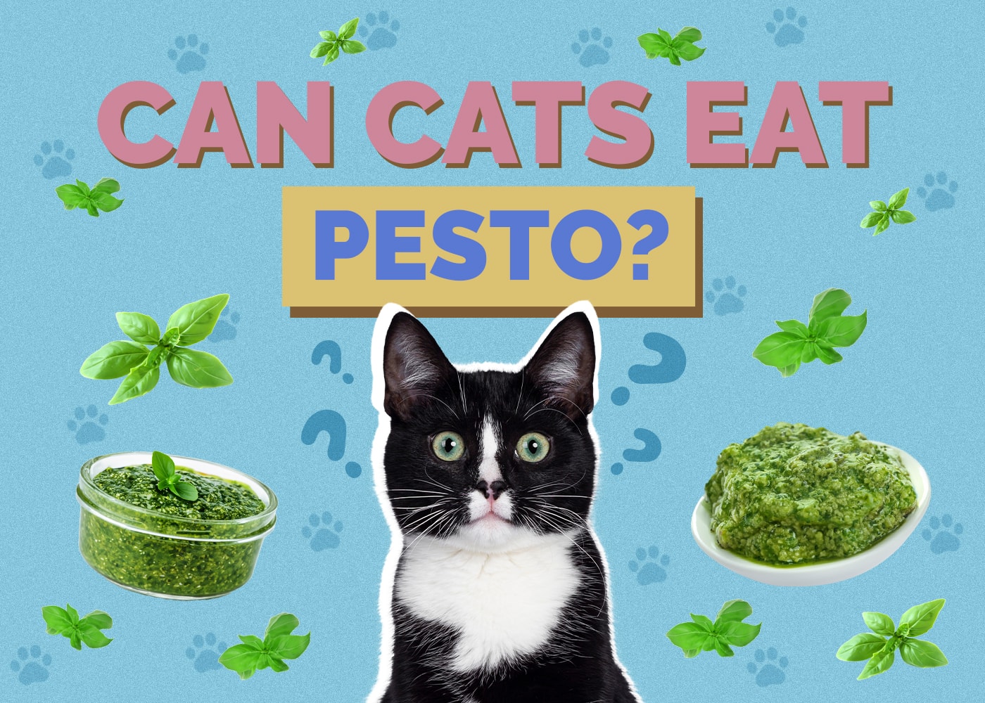 Can Cats Eat Pesto? Vet-Reviewed Health & Safety Guide