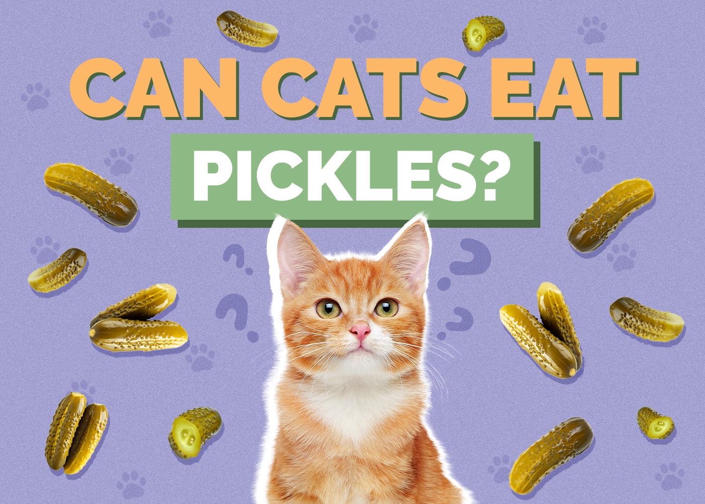 Can Cats Eat Pickles? Vet-Reviewed Nutrition Facts & FAQ
