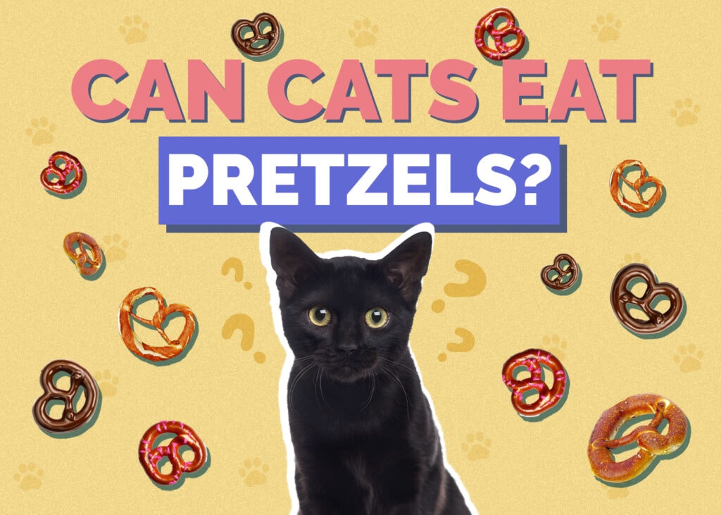 Can Cats Eat Pretzels? Nutrition Facts & FAQ