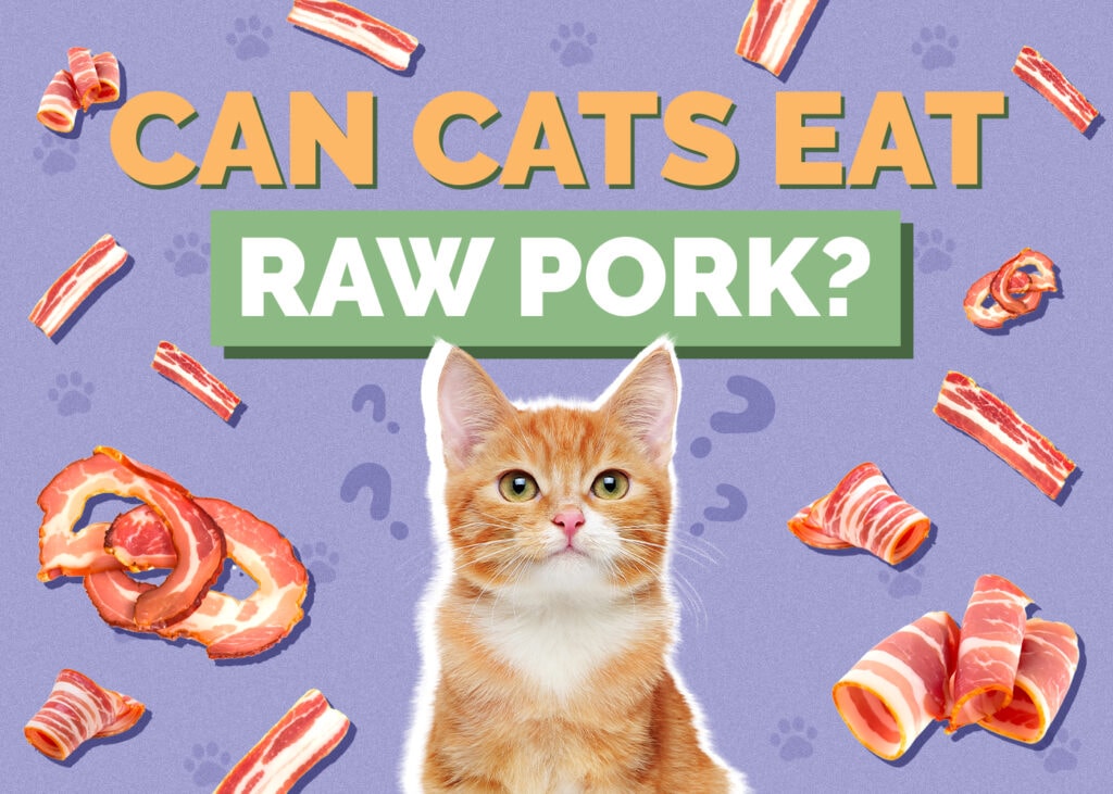 Can Cats Eat Raw Pork? Nutrition Facts & Safety Guide
