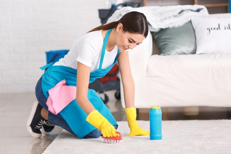 How To Get Rid of Pet Odors in a Carpet: 4 Effective Methods