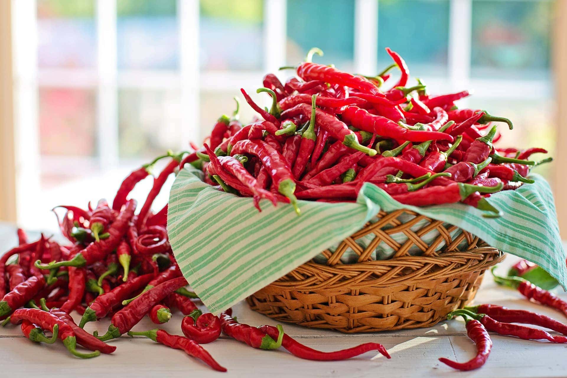 Does Cayenne Pepper Keep Cats Away? Vet Approved Advice
