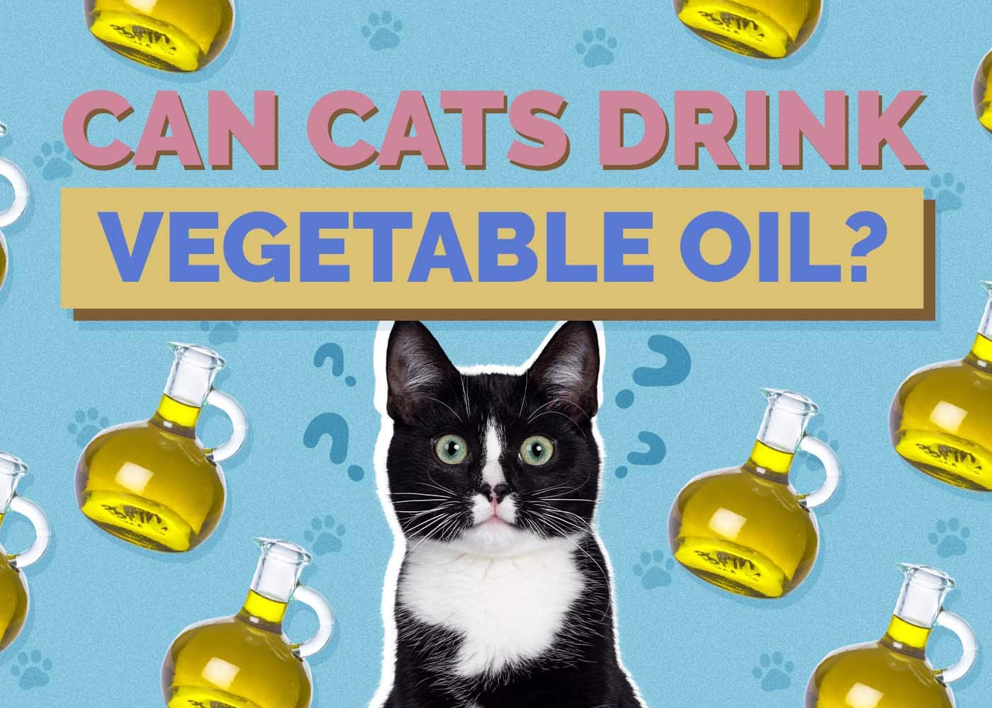 Can Cats Drink Vegetable Oil? Vet-Approved Facts & FAQ