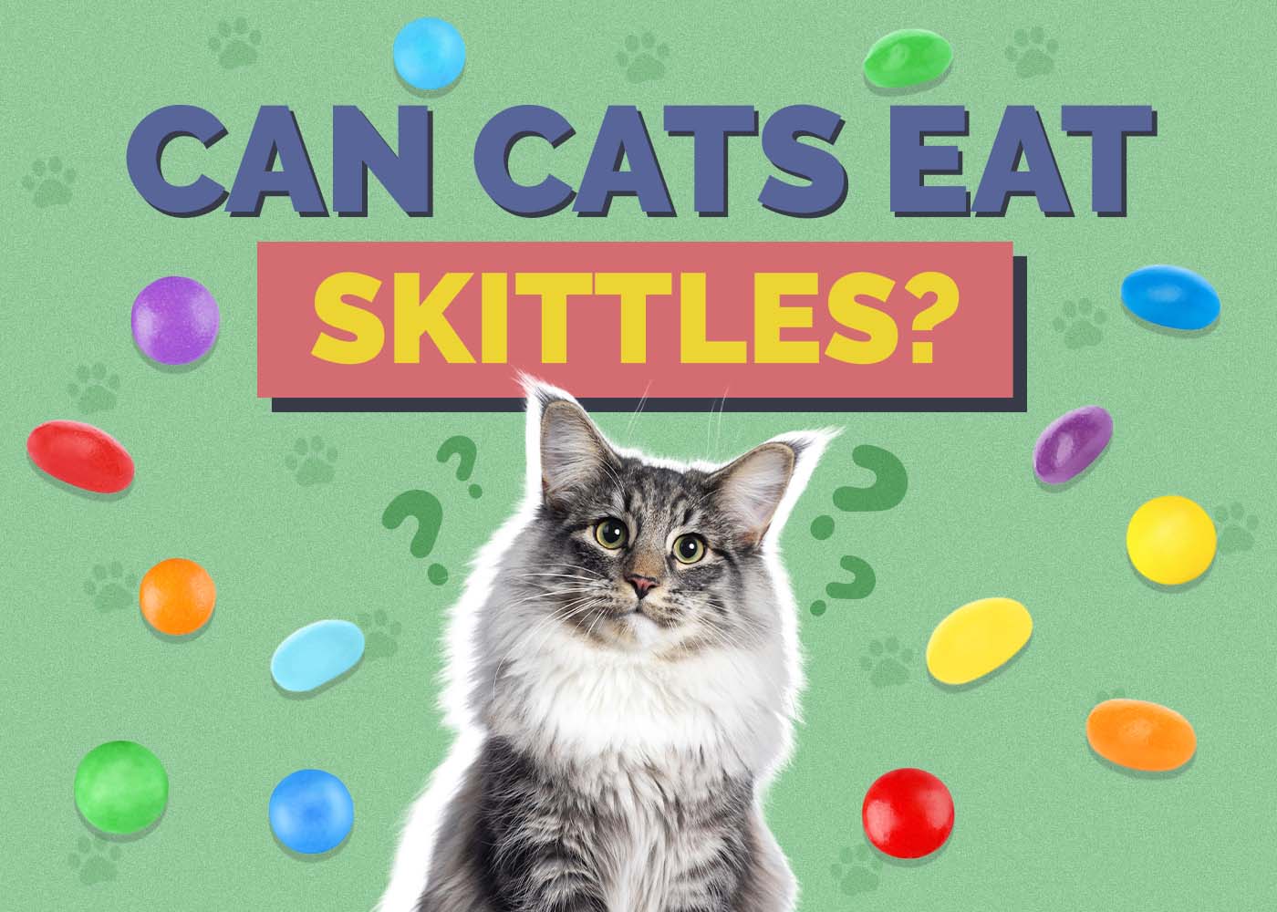 Can Cats Eat Skittles? Vet-Verified Facts & FAQ