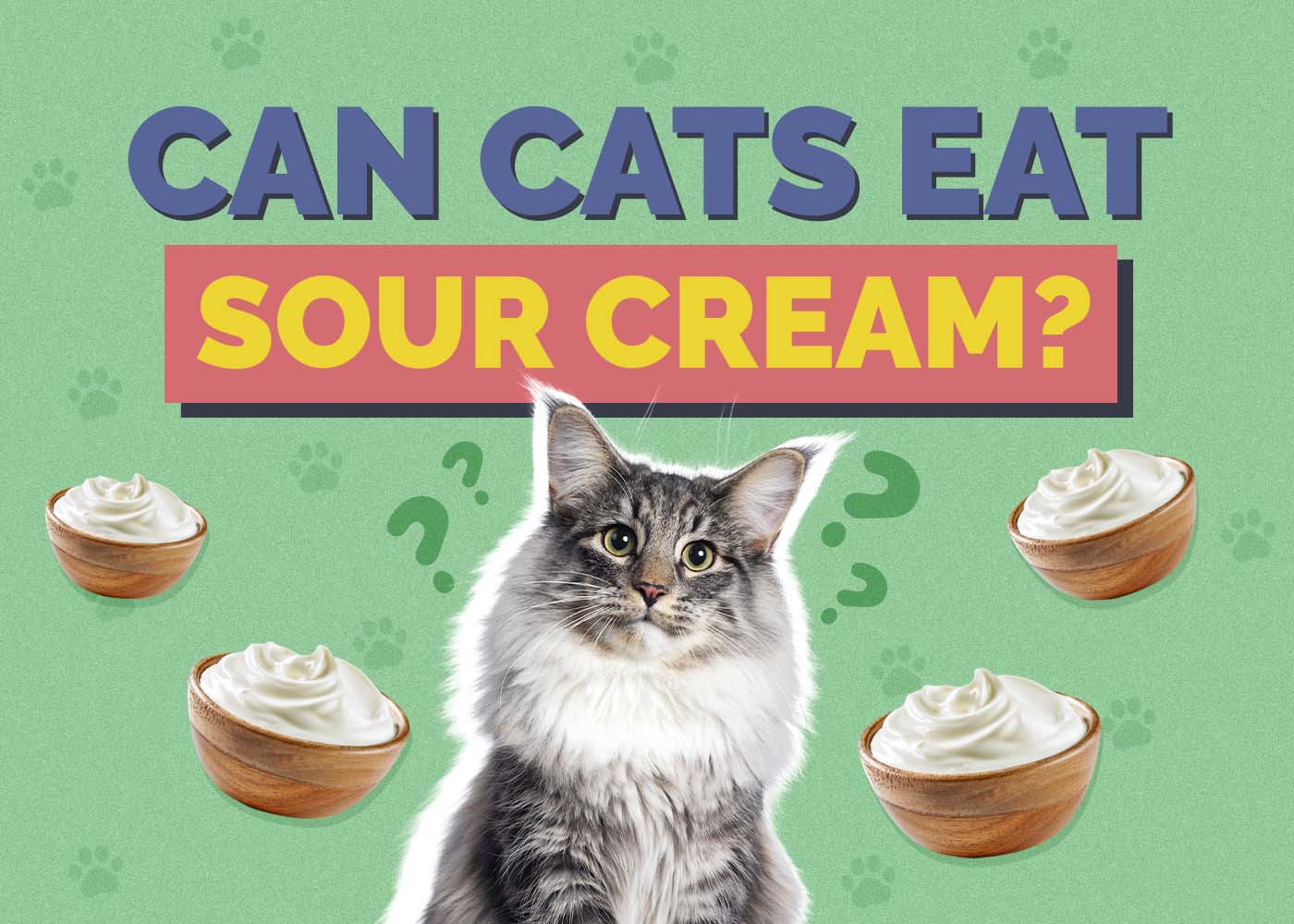 Can Cats Eat Sour Cream? Vet-Verified Facts & Safety Guide