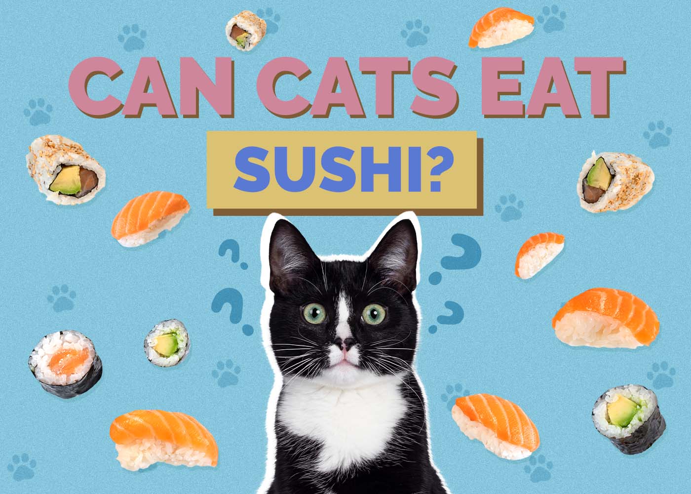 Can Cats Eat Sushi? Vet-Reviewed Nutrition & Safety Guide