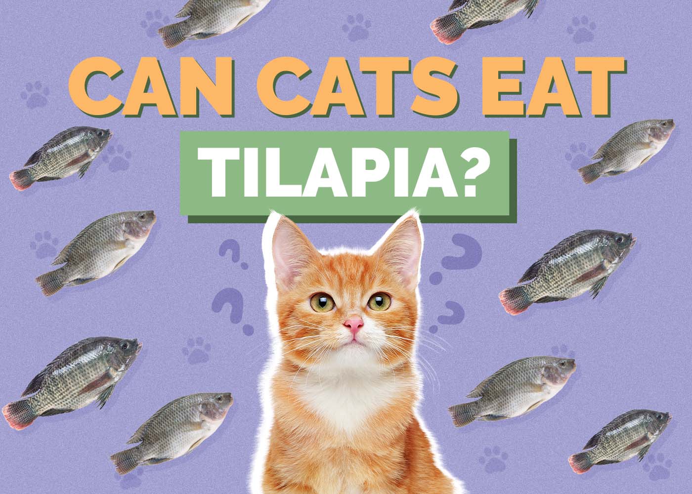 Can Cats Eat Tilapia? Nutrition Facts & Safety Guide