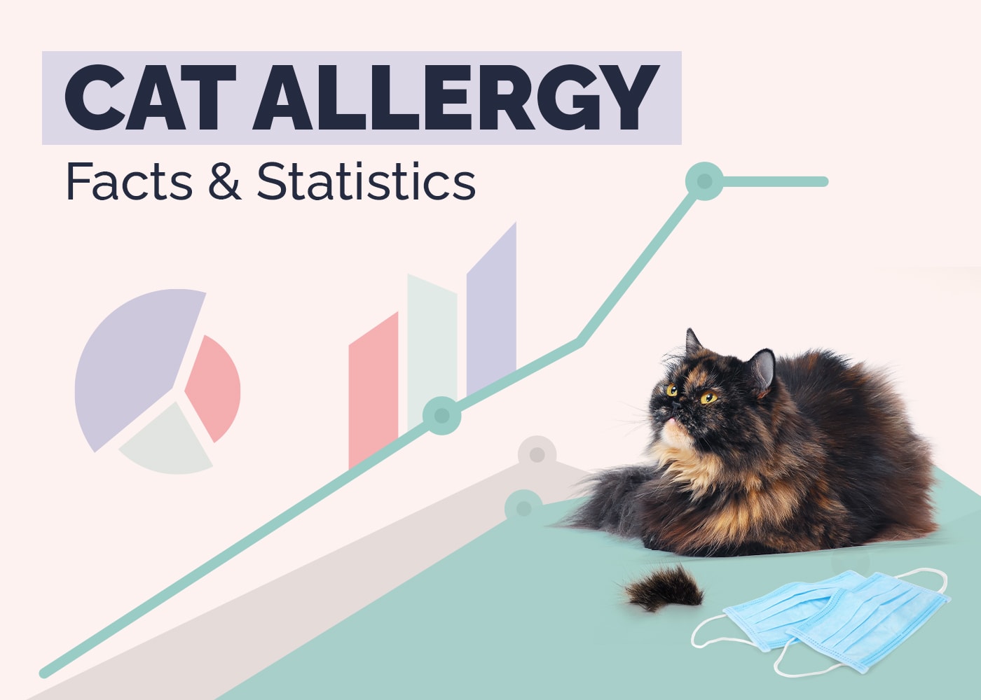 How Many People Are Allergic to Cats? 2026 Statistics & Reasons