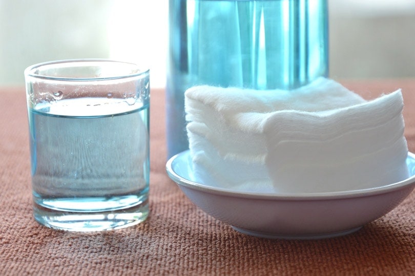 Can You Use Hydrogen Peroxide on Dogs for Cleaning Wounds? (Vet Answer)