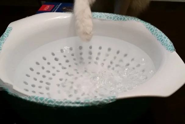 Pet Bubble Fountain