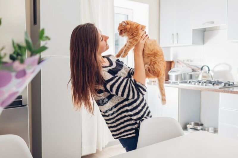 Do Cats Like Being Picked Up? Correct Way, Tips, Facts & FAQ