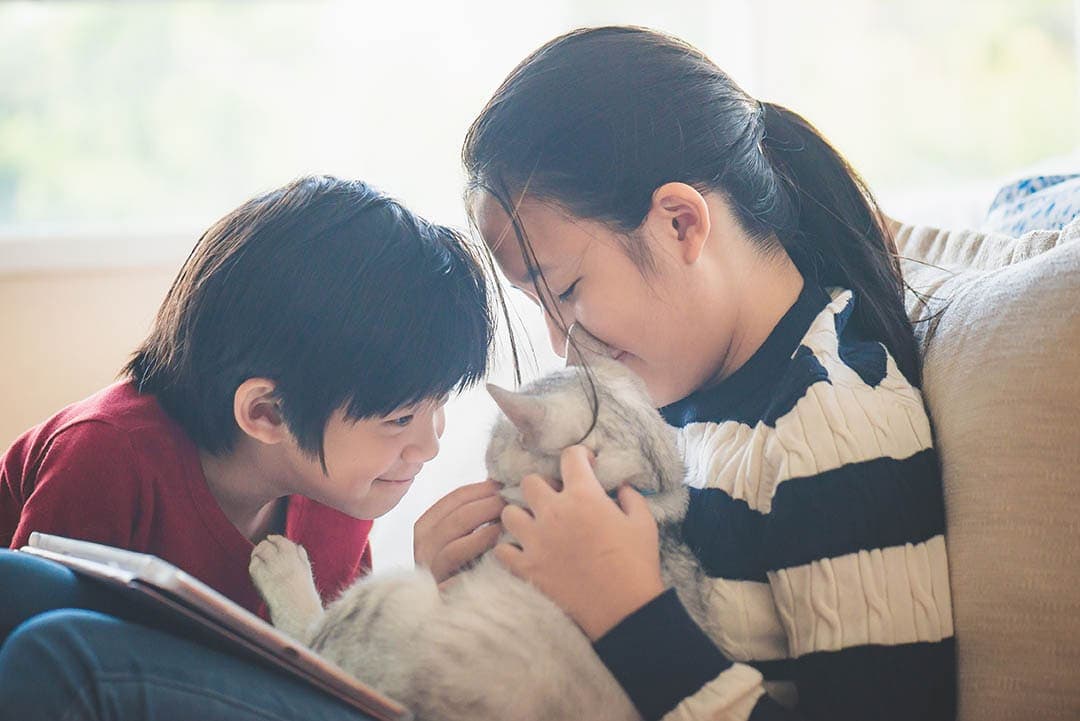 How to Help Cats & Children Bond: 12 Expert Tips