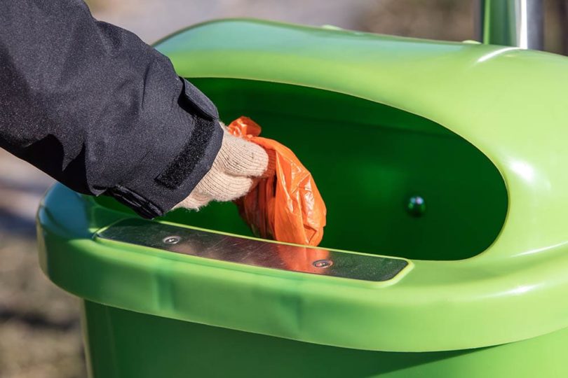 How to Dispose of Dog Poop Without Smell (10 Potential Methods)
