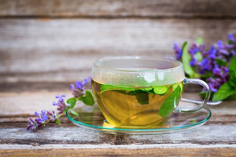 Catnip Tea with Broth