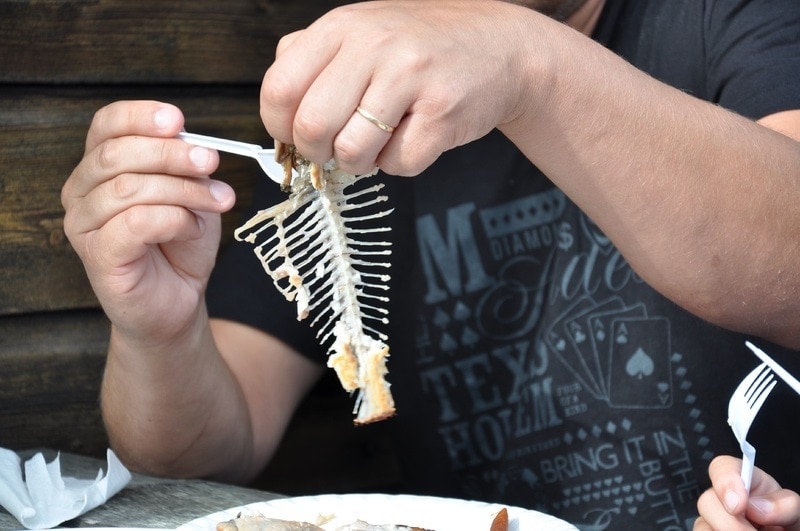 Can Cats Eat Fish Bones? Vet-Reviewed Safety Facts
