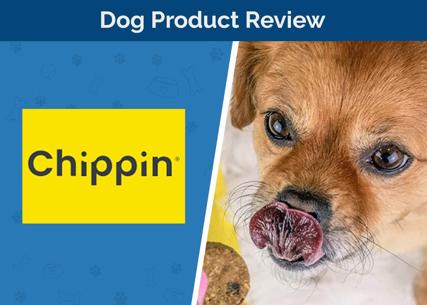 Chippin Dog Treats Review 2026: An Expert Guide