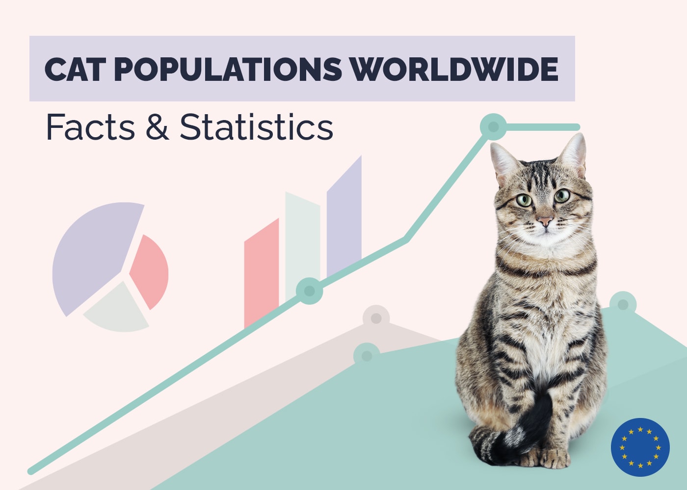 How Many Pet Cats Are There in the World? 2026 Updated Statistics