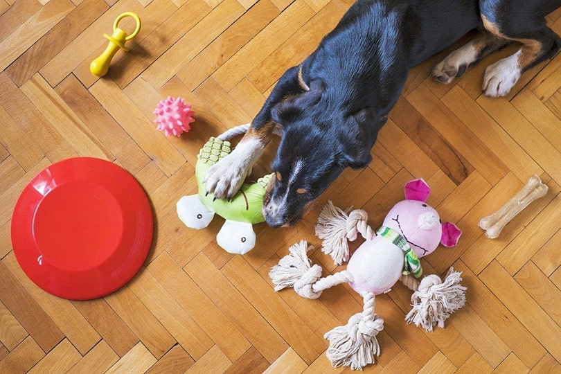 15 DIY Indestructible Dog Toys for Heavy Chewers You Can Make Today (with Pictures)