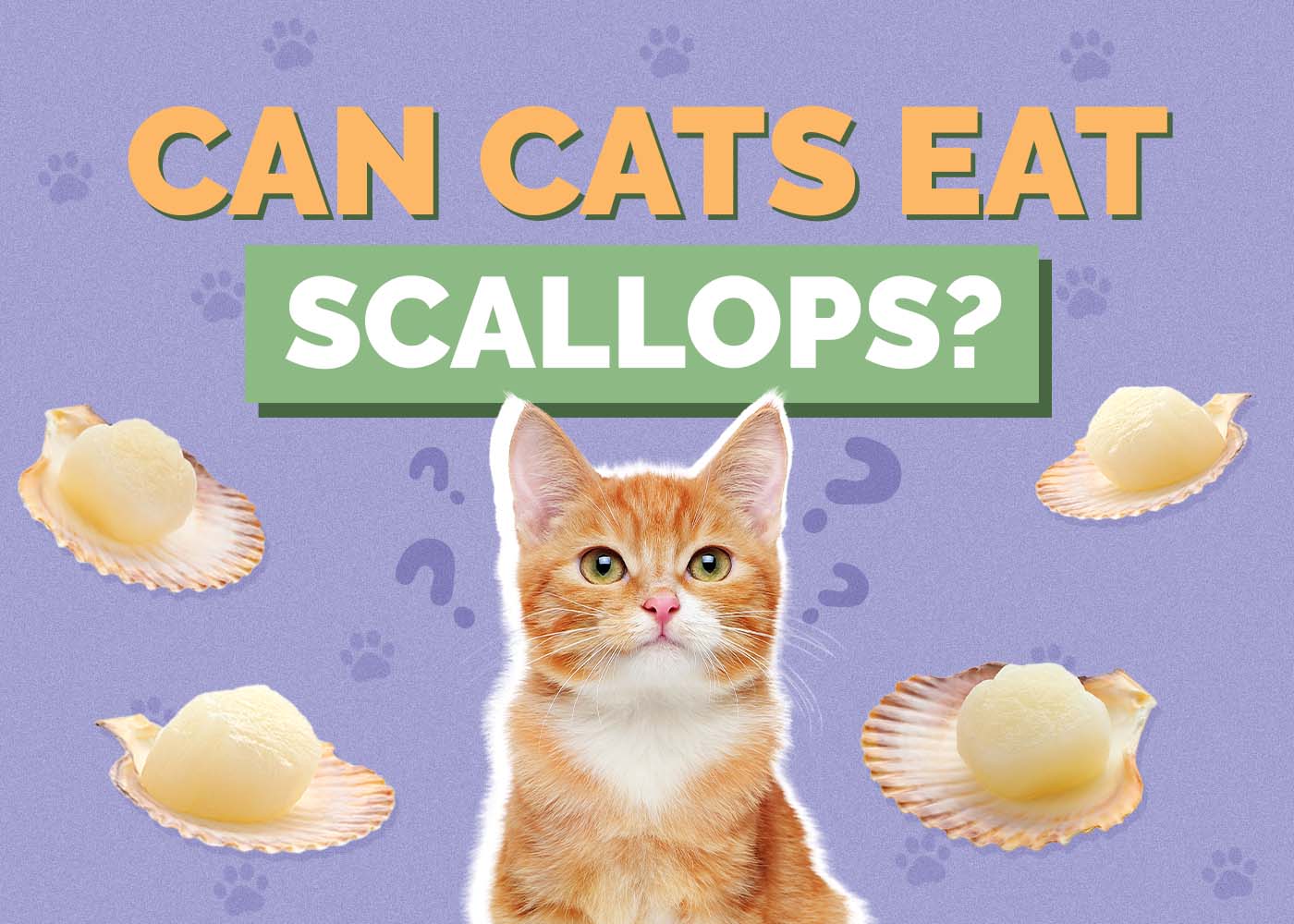Can Cats Eat Scallops? Vet-Reviewed Safety Facts