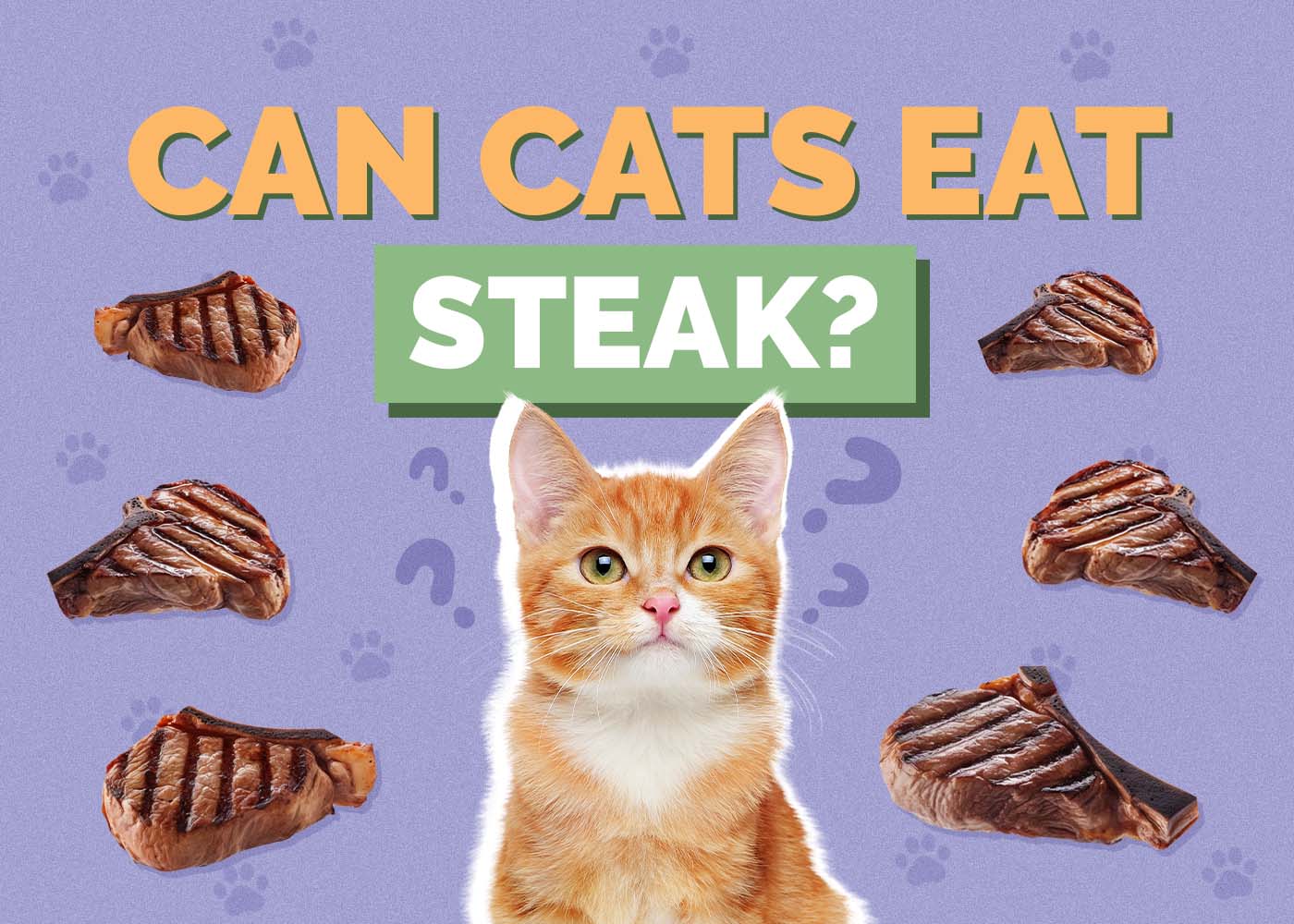 Can Cats Eat Steak? Vet Approved Health & Nutrition Guidelines