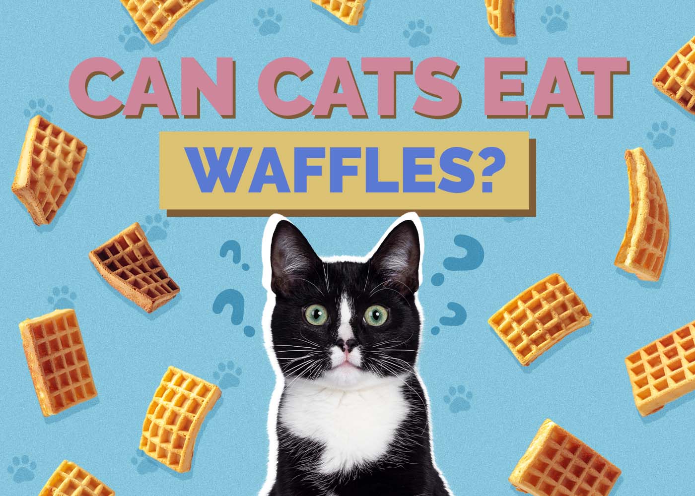 Can Cats Eat Waffles? Vet-Verified Facts & Info