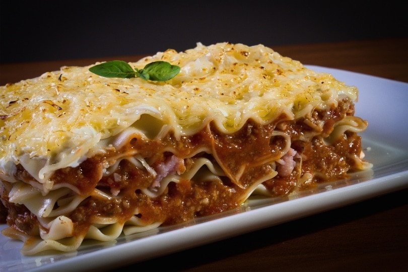 Can Dogs Eat Lasagna? Vet-Approved Nutritional Facts & FAQ