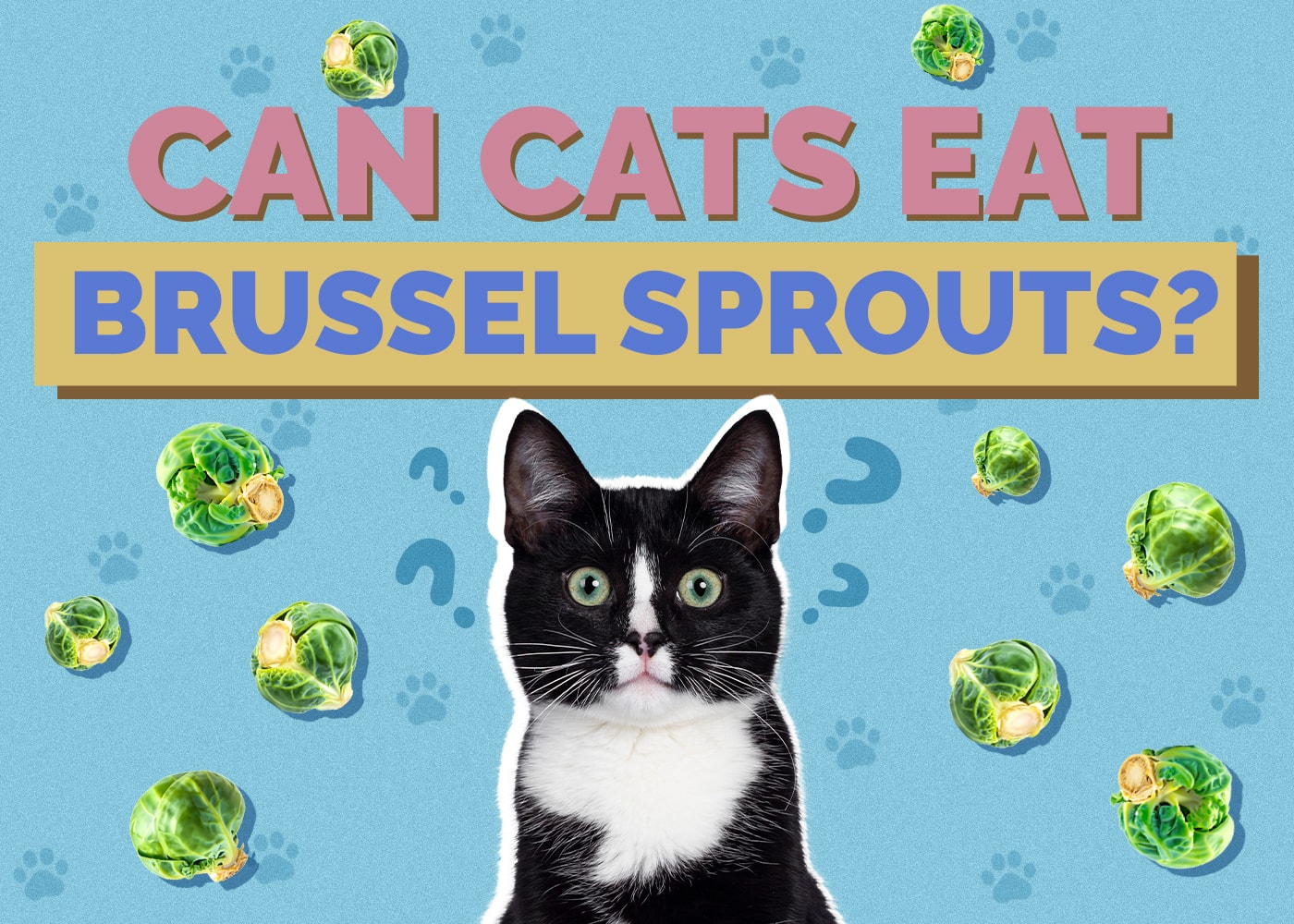 Can Cats Eat Brussels Sprouts? Vet-Approved Feeding Facts