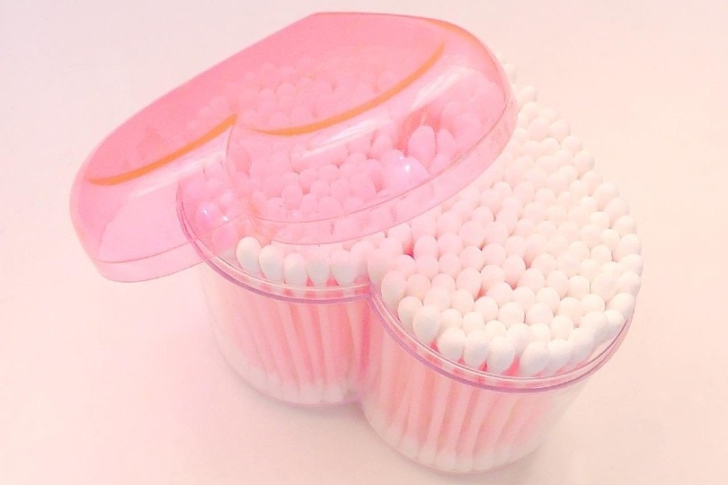 Why Do Cats Like Q-Tips? 4 Likely Reasons