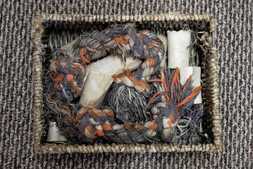 9 DIY Dog Toy Boxes You Can Make Today (With Pictures)