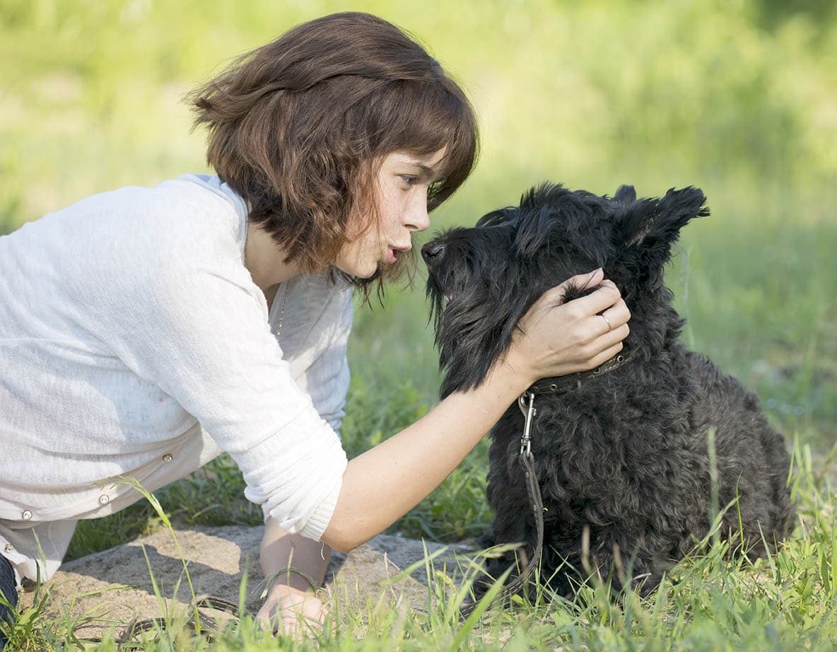 Do Dogs Like Baby Talk? What the Science Says