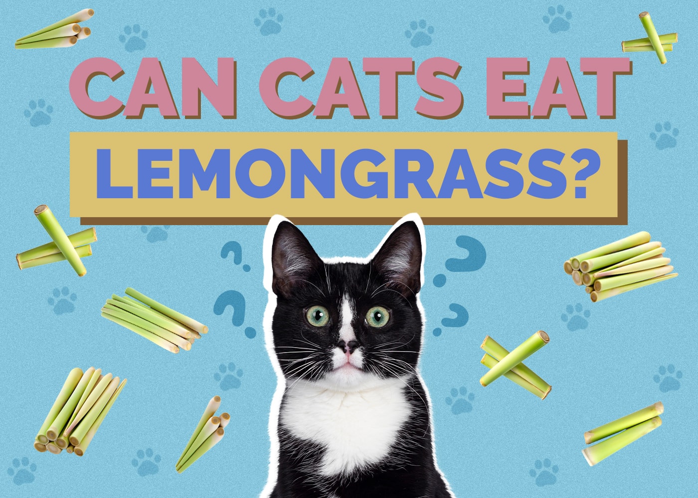 Can Cats Eat Lemongrass? Vet-Reviewed Facts & FAQ