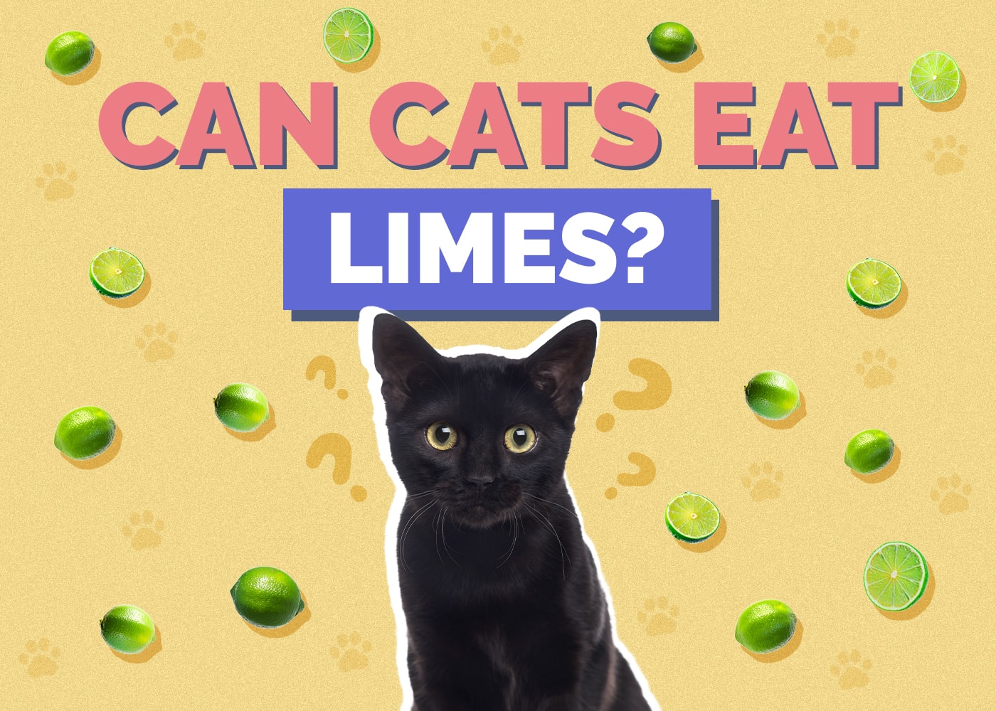 Can Cats Eat Limes? Vet-Approved Health & Safety Guide