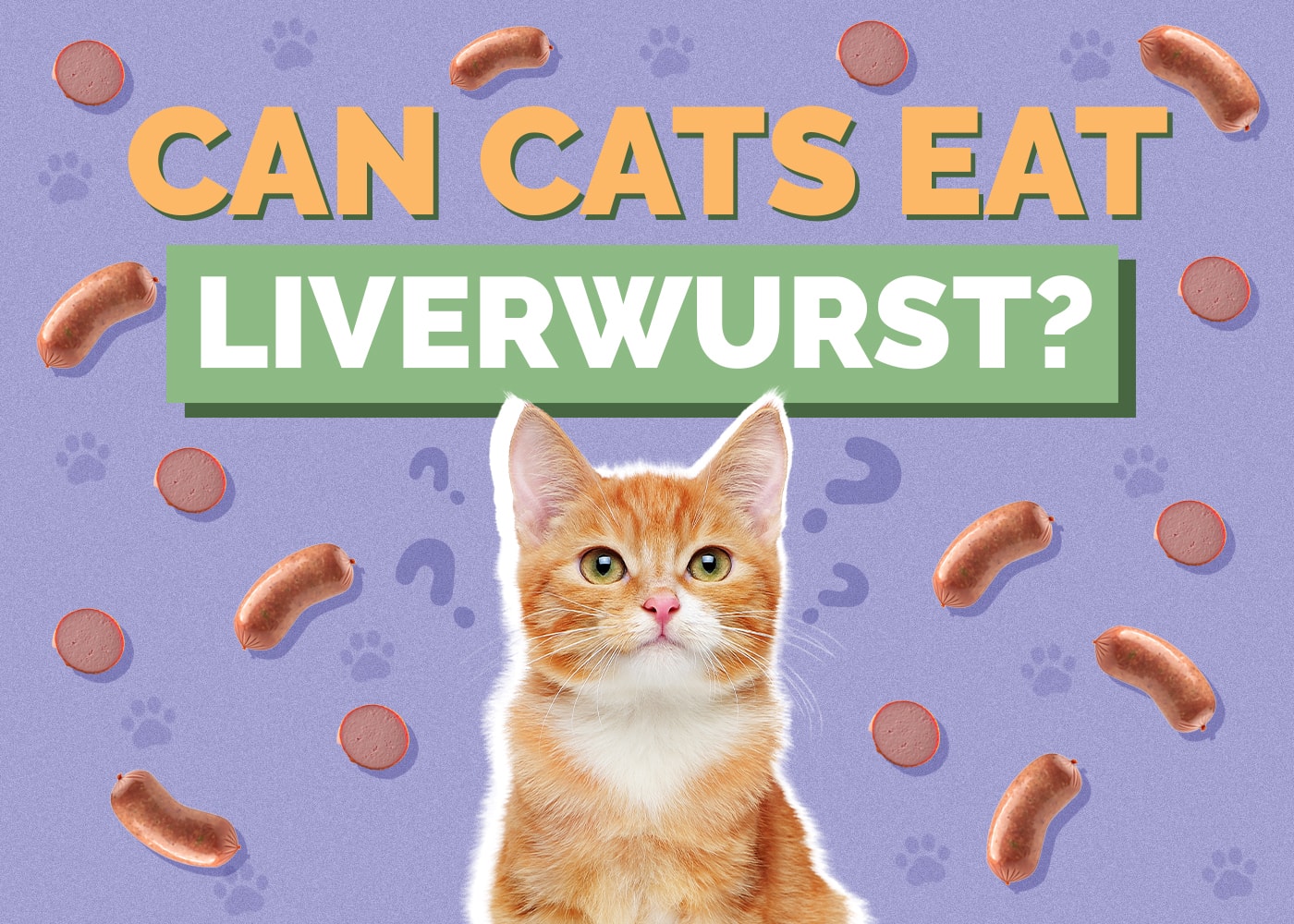 Can Cats Eat Liverwurst? Vet-Verified Nutritional Info & Safety Guide