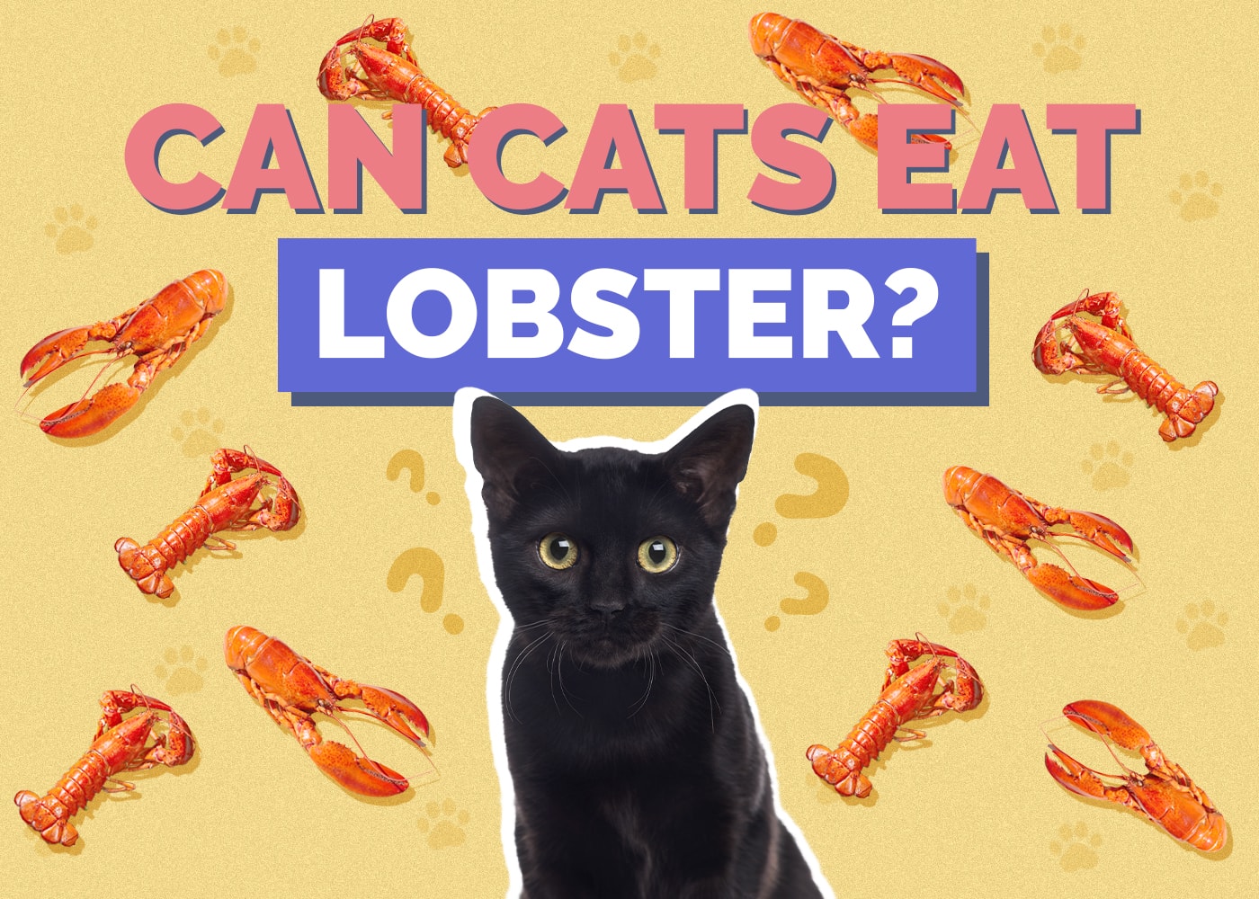 Can Cats Eat Lobster? Nutrition Facts & FAQ