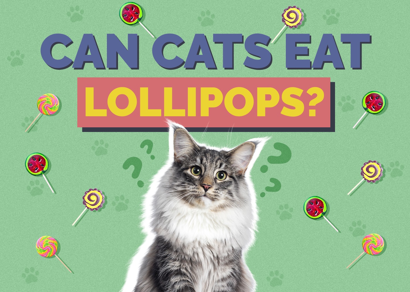 Can Cats Eat Lollipops? Vet-Approved Facts & Potential Health Hazards