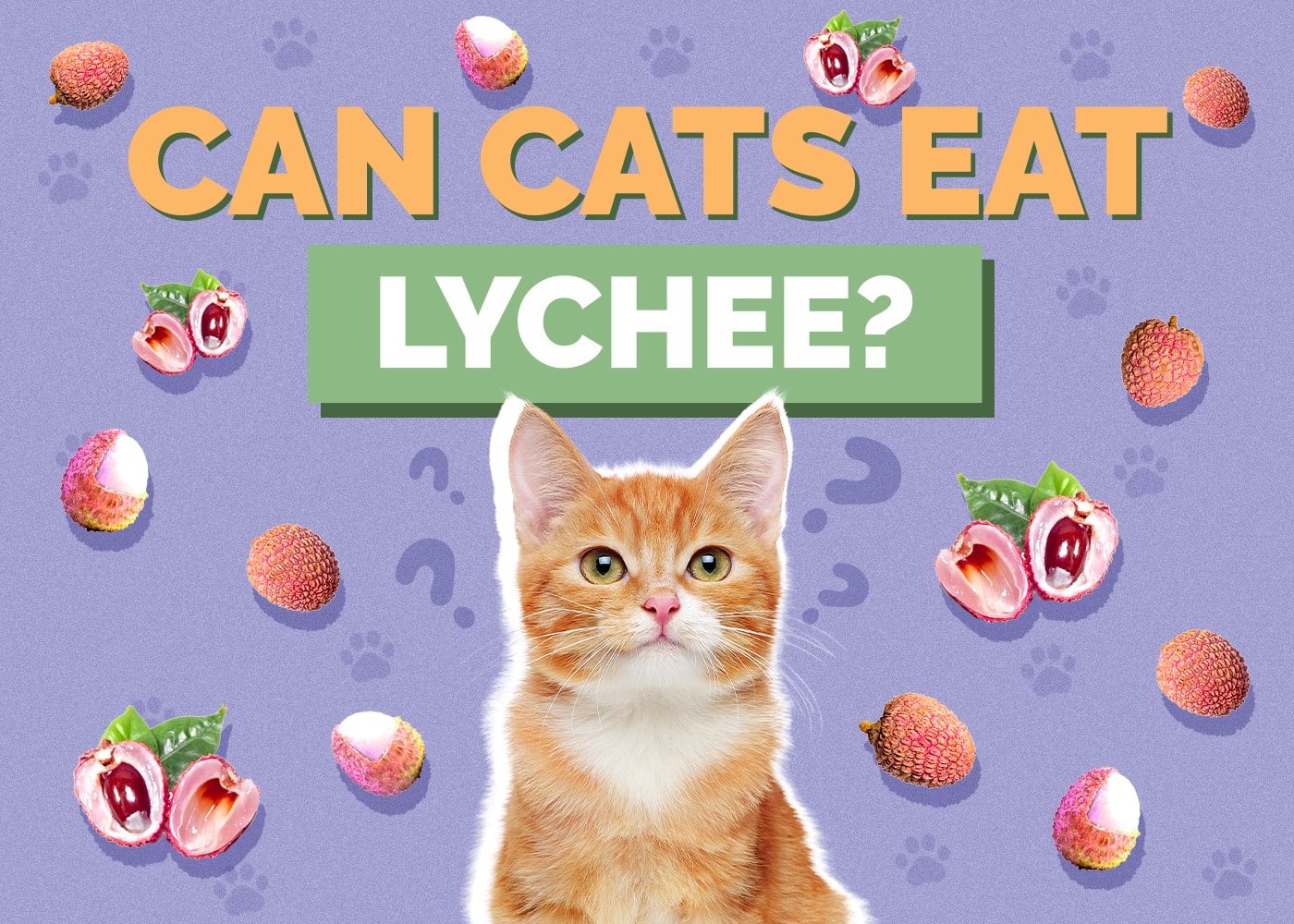 Can Cats Eat Lychee? Vet-Reviewed Nutritional Facts & FAQ