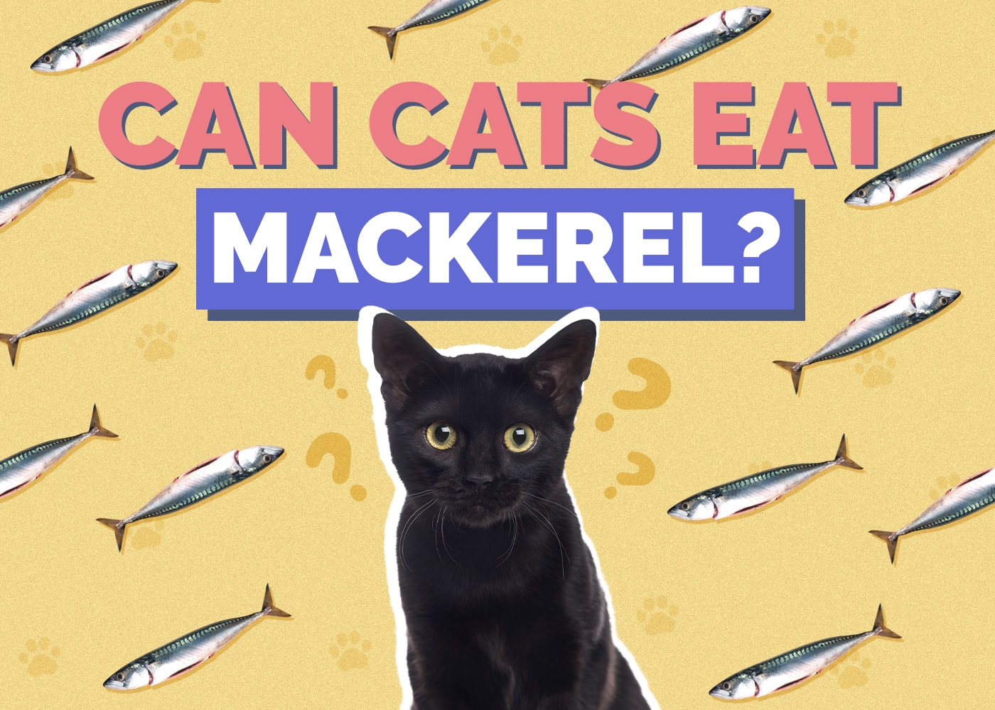 Can Cats Eat Mackerel? Nutrition Facts & FAQ