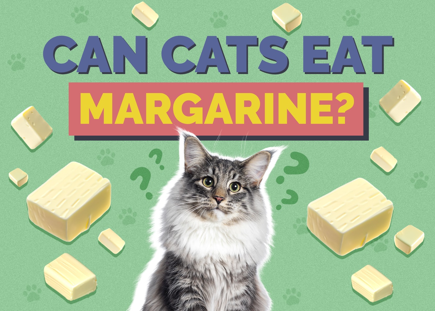 Can Cats Eat Margarine? Vet-Approved Health & Safety Guide
