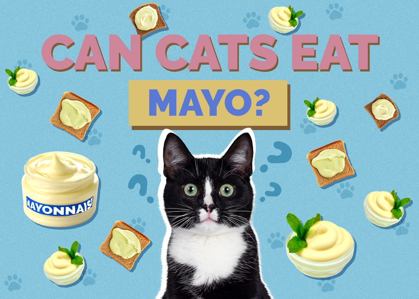 Can Cats Eat Mayo? Vet-Approved Health & Safety Guide