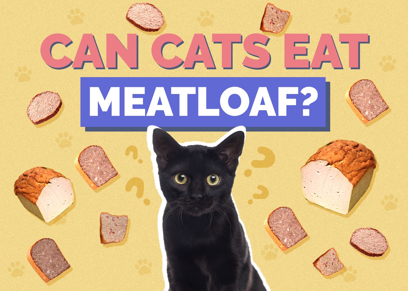 Can Cats Eat Meatloaf? Vet-Reviewed Facts & Advice