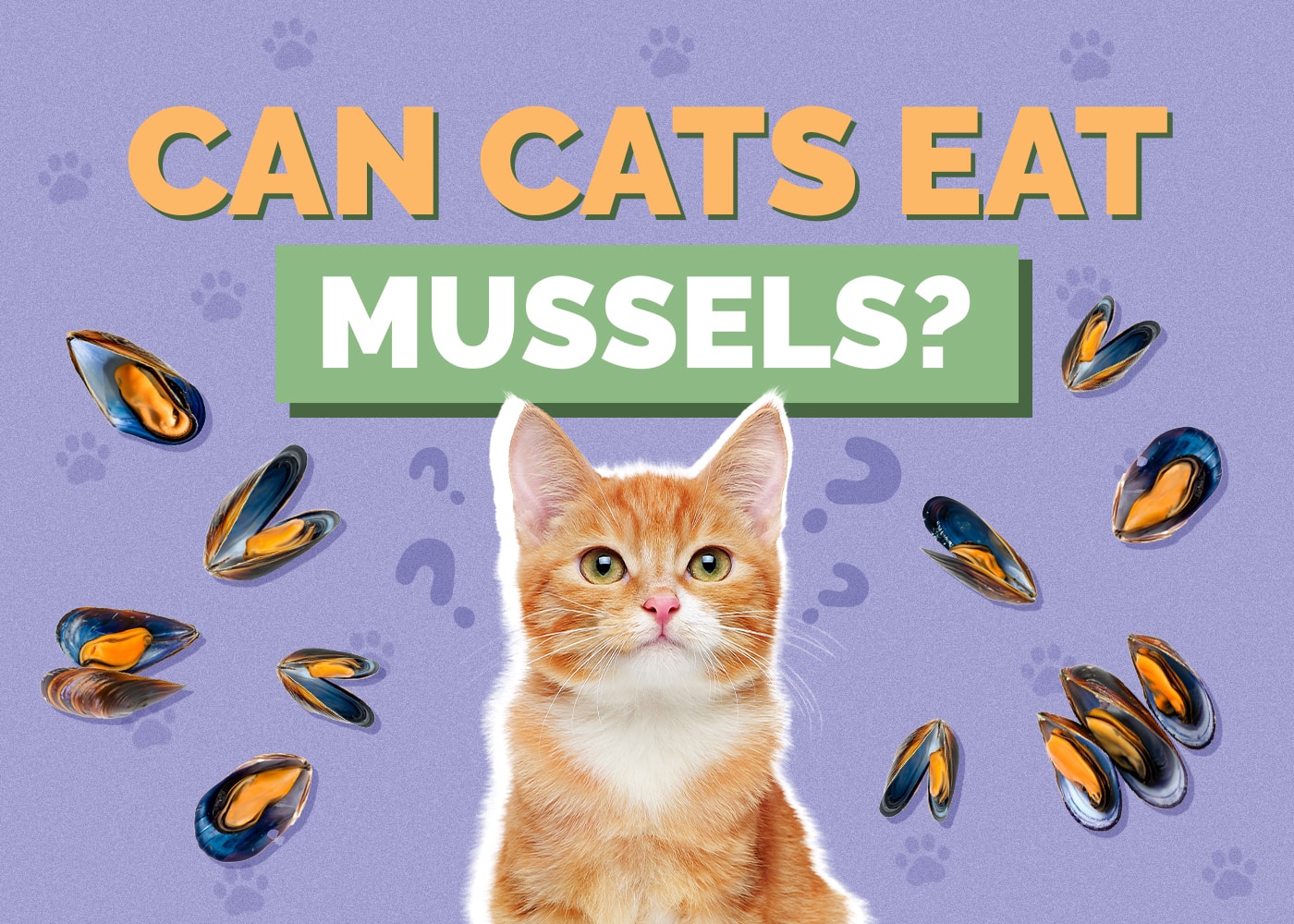 Can Cats Eat Mussels? Vet-Reviewed Nutritional Facts & Safety Tips