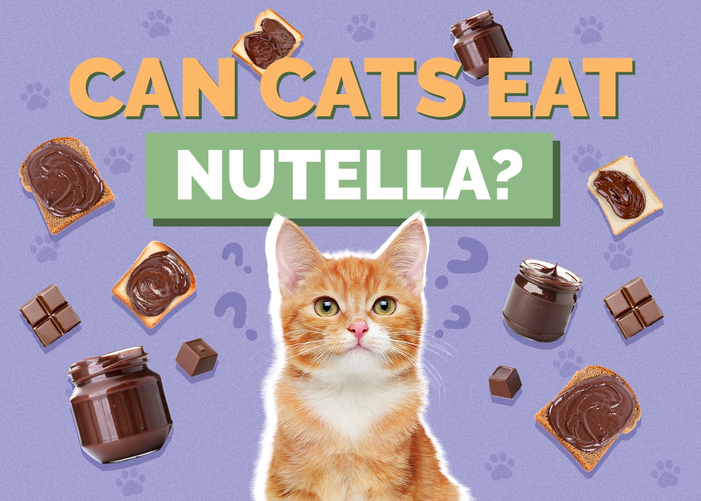Can Cats Eat Nutella? Vet-Reviewed Facts & Risks
