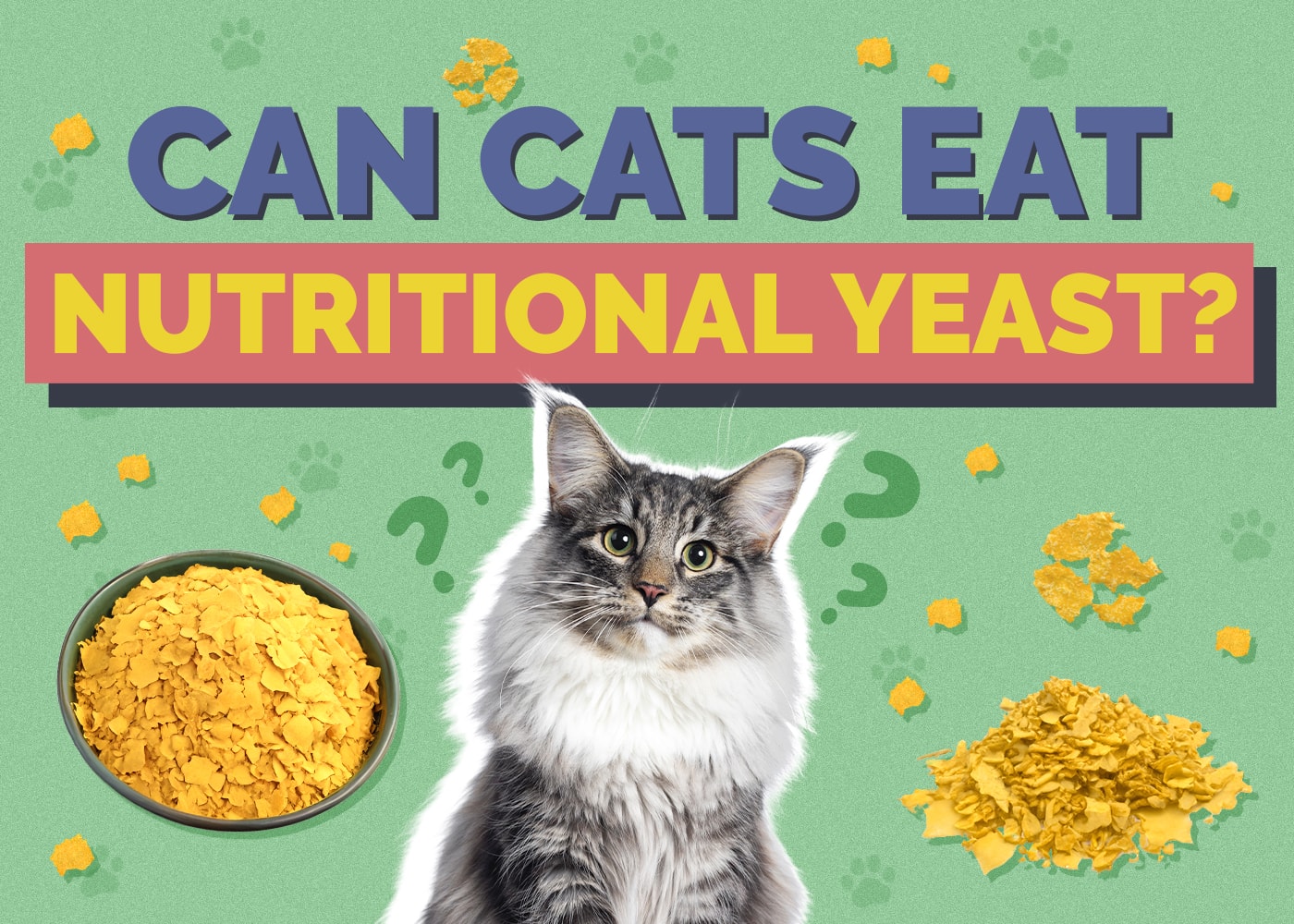 Can Cats Eat Nutritional Yeast? Vet-Reviewed Facts & Safety Tips