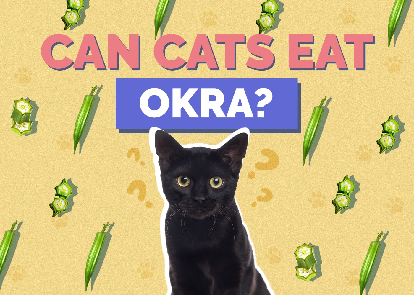 Can Cats Eat Okra? What You Need to Know