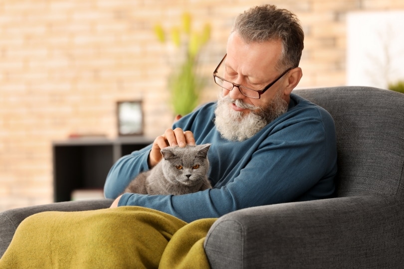 How Does a Cat Like to Be Held? Vet-Approved Tips