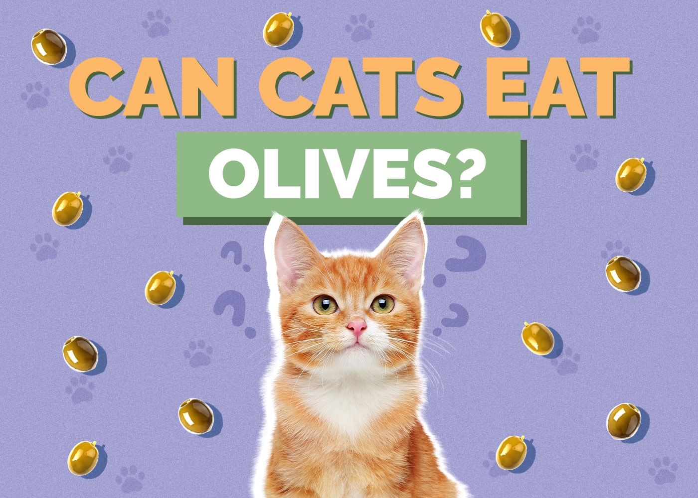 Can Cats Eat Olives? Vet-Verified Nutritional Facts & Dietary Info