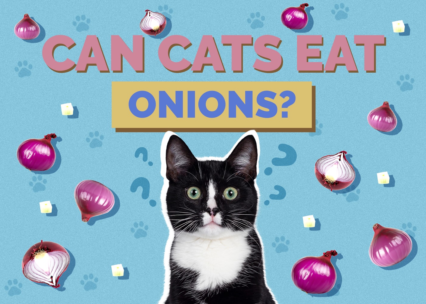 Can Cats Eat Onions? Vet-Reviewed Risks & Safety Guide
