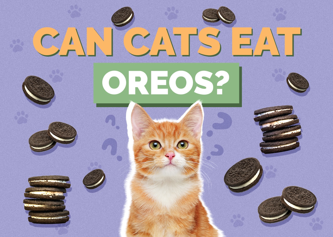 Can Cats Eat Oreos? Nutritional Facts & Safety Tips