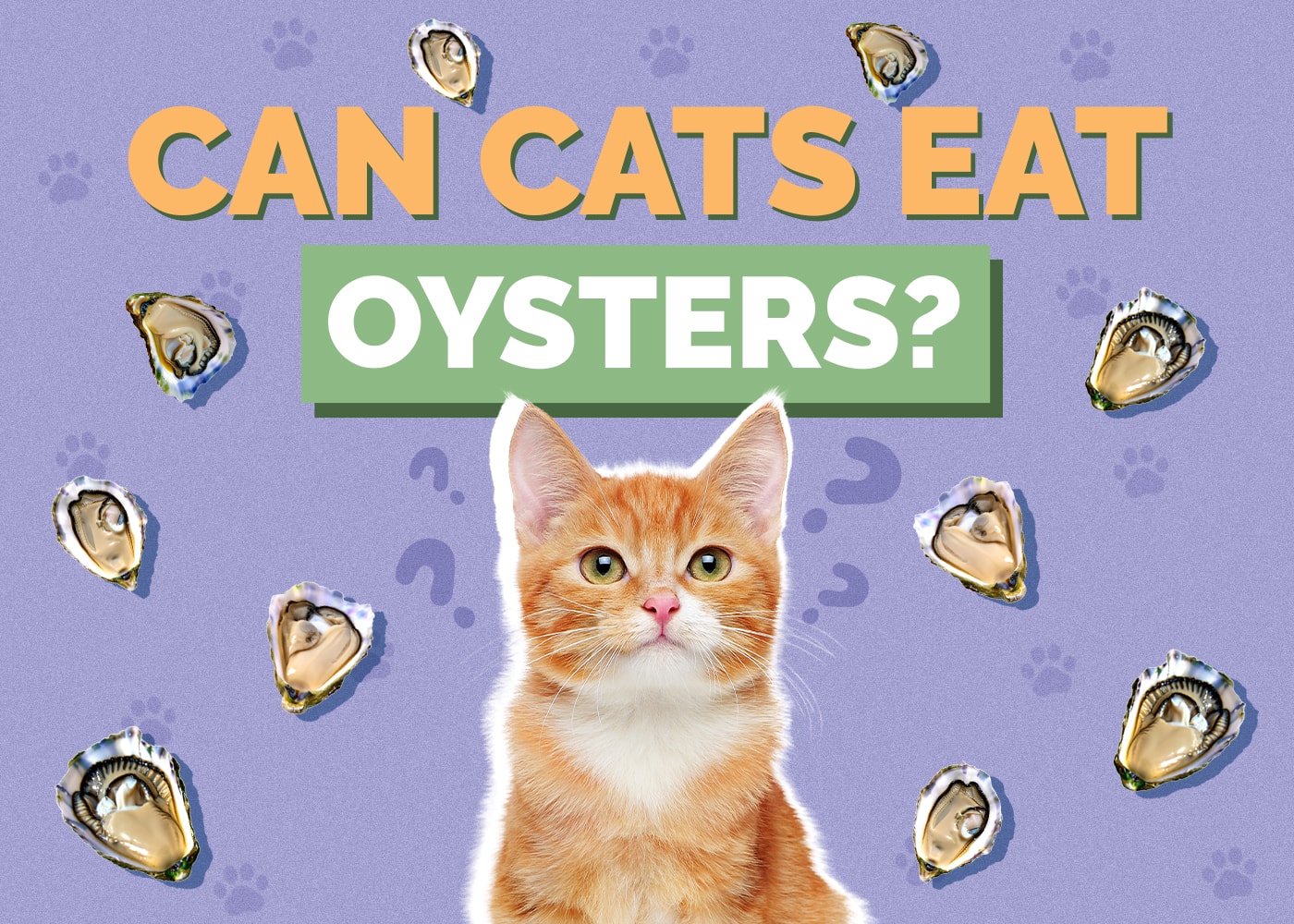Can Cats Eat Oysters? Vet-Approved Nutritional Facts & FAQ
