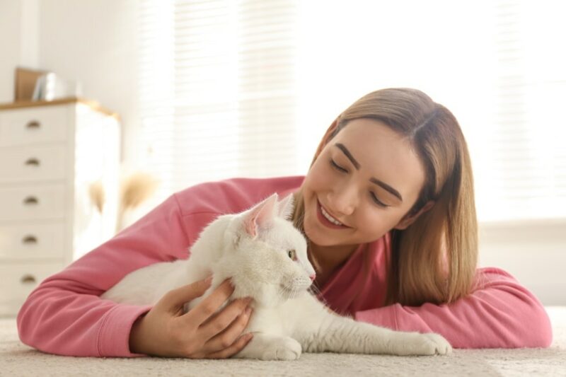 How to Name Your Cat: 7 Things to Consider
